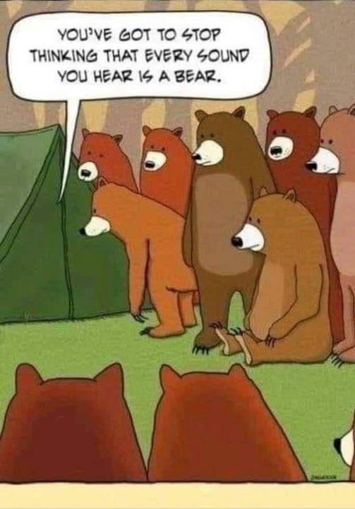 bear tent.jpg