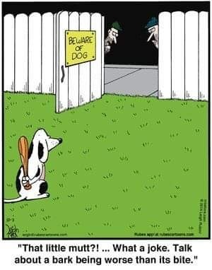 beware dog.jpg
