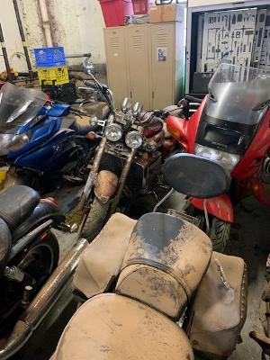 Bikes.jpg