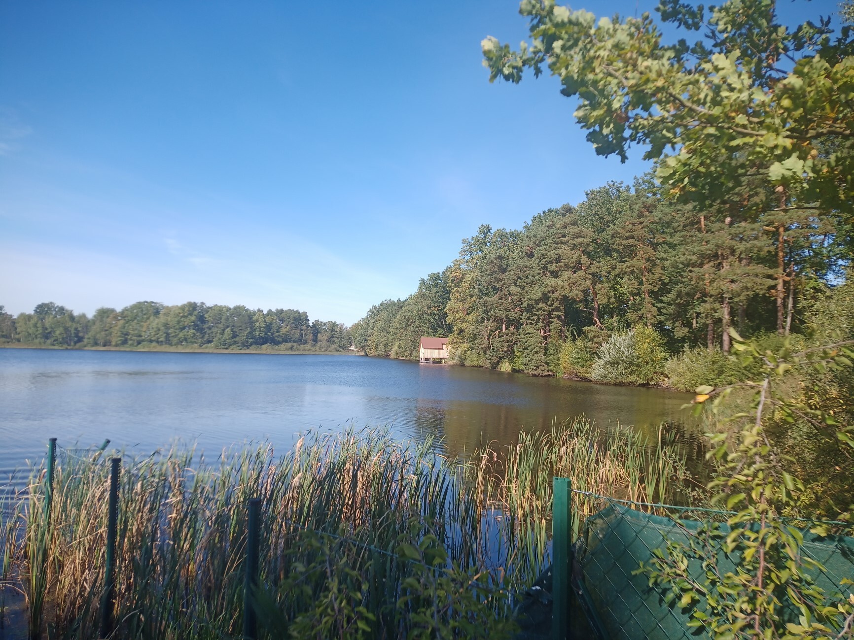 Bild2.jpg