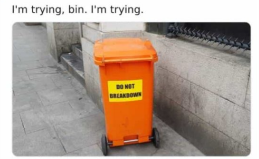 Bin.PNG