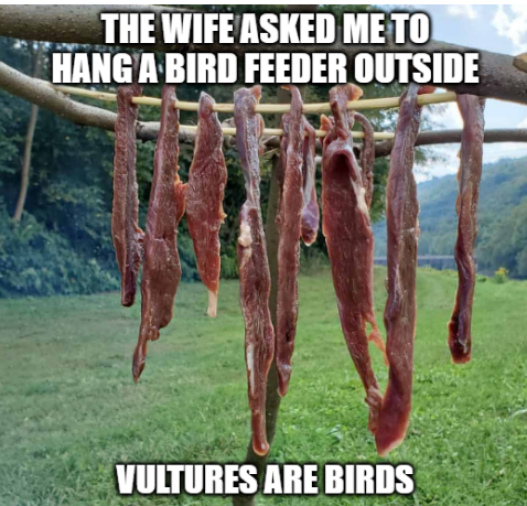 Birds.PNG