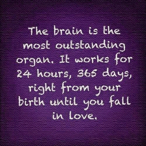 Brain.gif