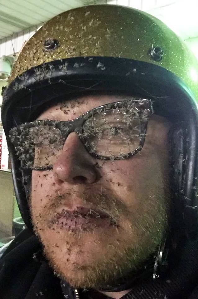 bug_face_20926.jpg