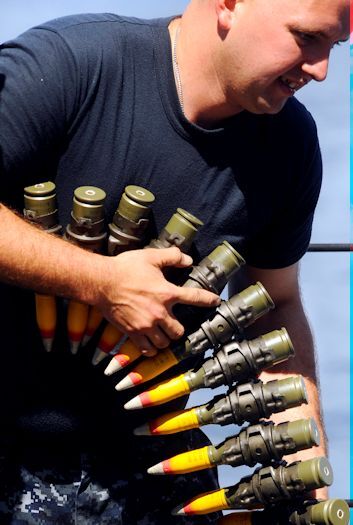 bushmaster ammo.jpg