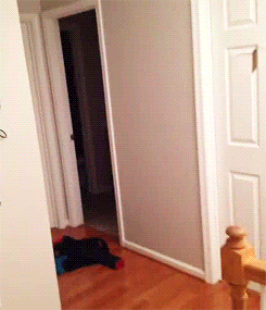 C4B0F221-B5FA-4A24-BEE8-D618C25CDE82.gif