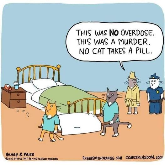 cat pill.jpg