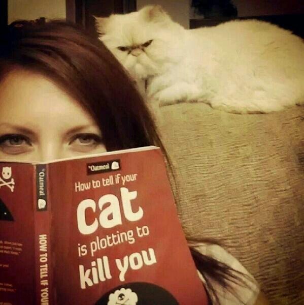 cat plotting.jpg