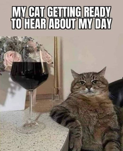 cat wine.jpg