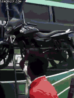CD18D5CF-B3F8-48B3-98F8-9220523A9ED9.gif