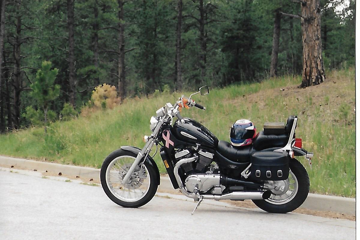 Cindi's 02 Susuki Intruder 800.jpg