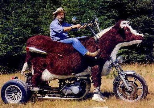 Cow-Motorcycle.jpg