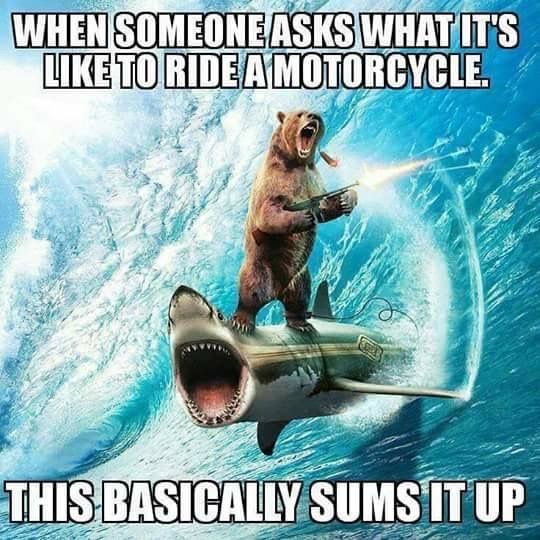 D95F8DA5-A06B-464F-BE00-6217676BBD3B.jpeg