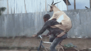 DF516634-1D11-44B9-ACFD-8BC603A7FF69.gif