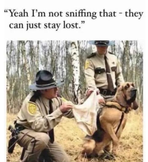Dog.PNG