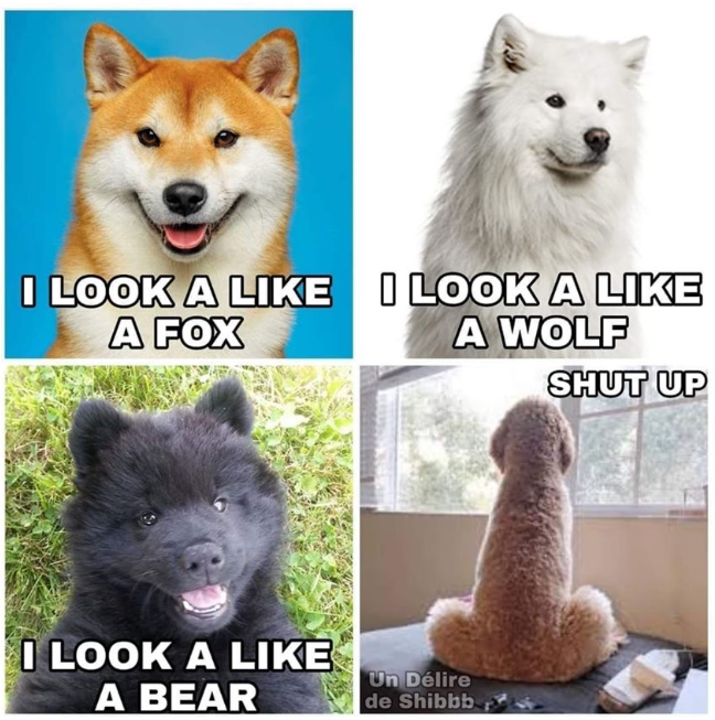 dogs.PNG