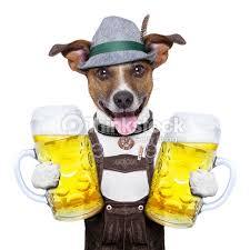 DogwithTwoBeers.jpg