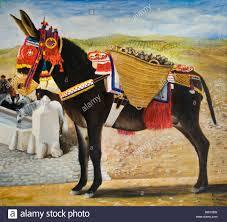 donkey.jpg