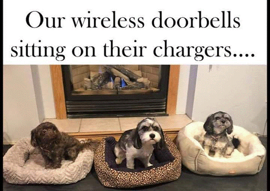Door bells.gif