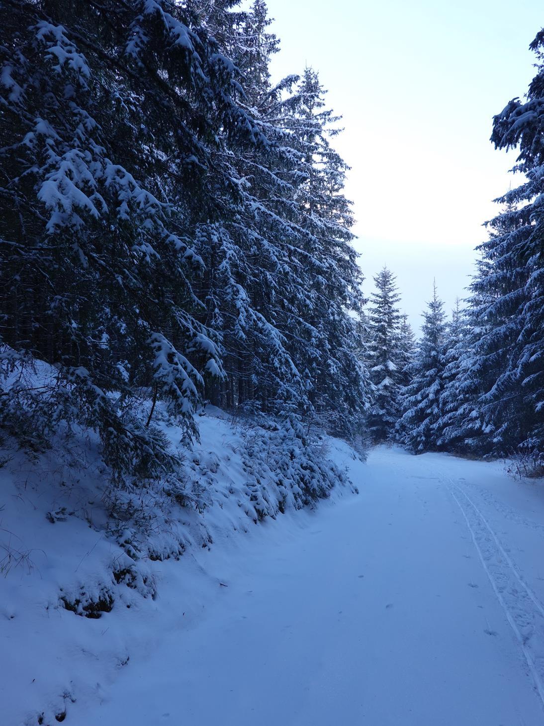 DSC01140 (Copy).JPG