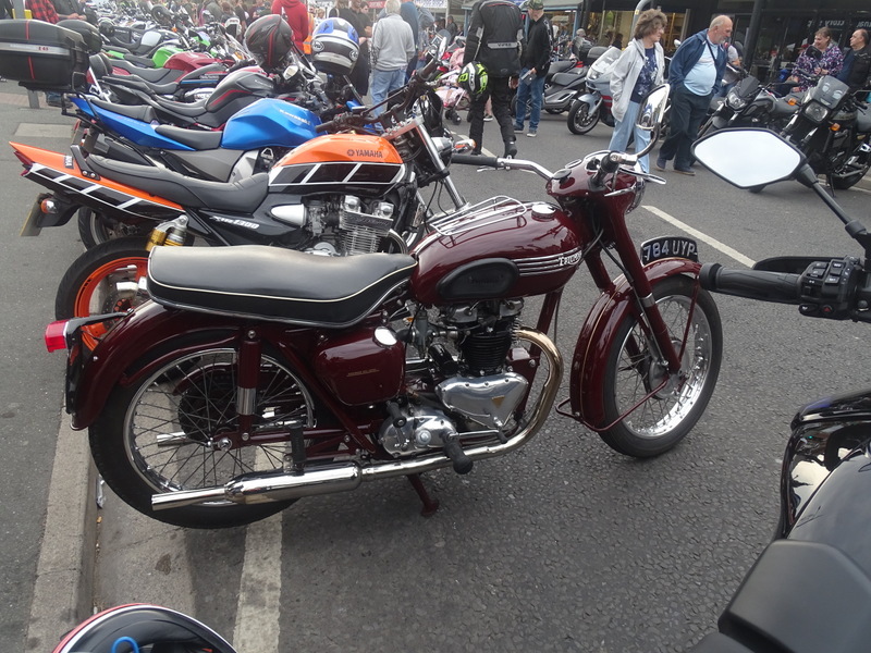 DSC08075.JPG
