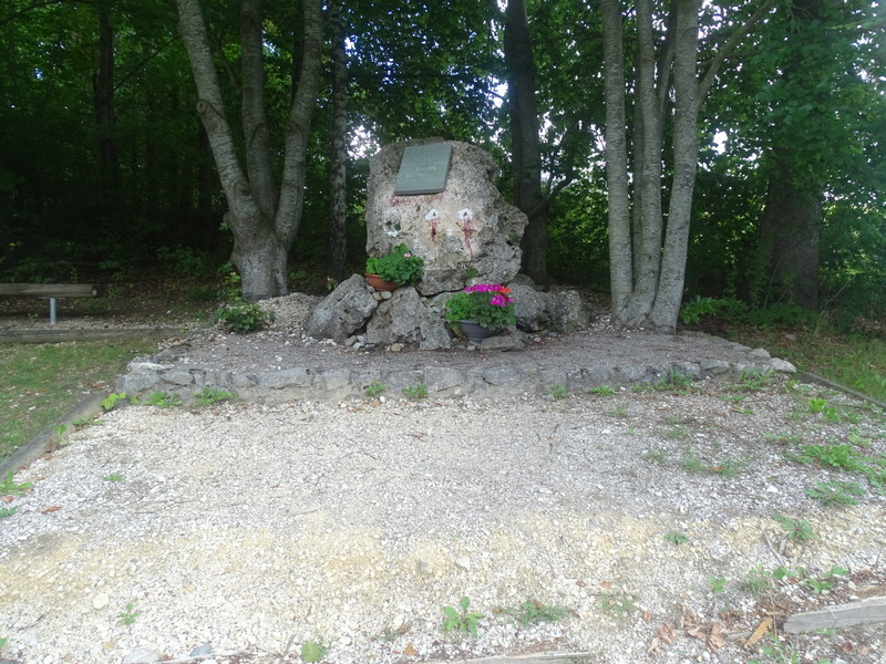 DSC08354.JPG