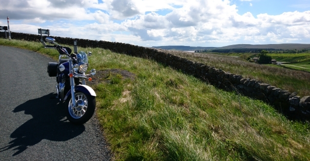DSC_1305.jpg