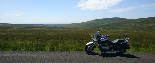 DSC_1346.jpg