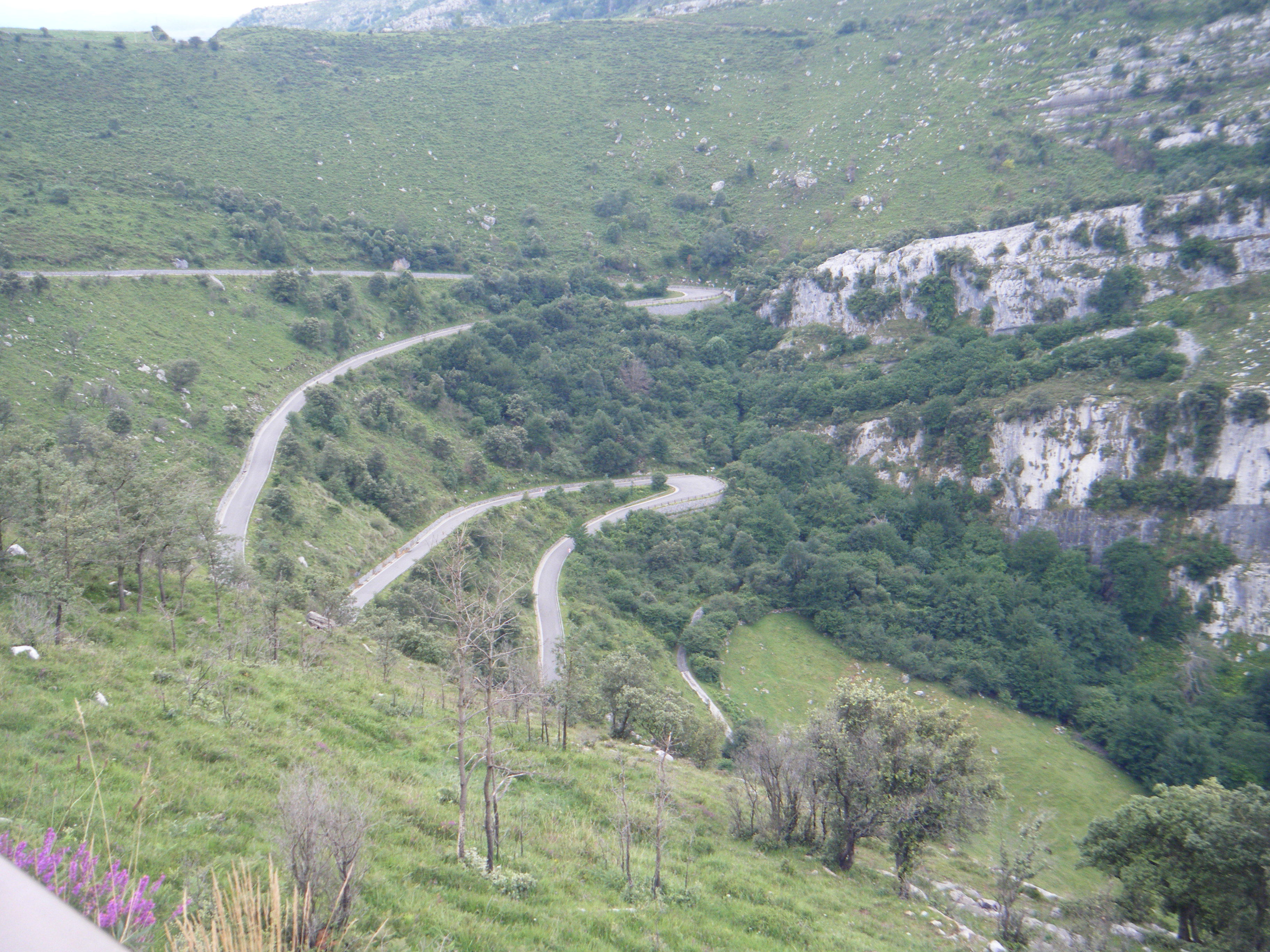 DSCF0808.JPG