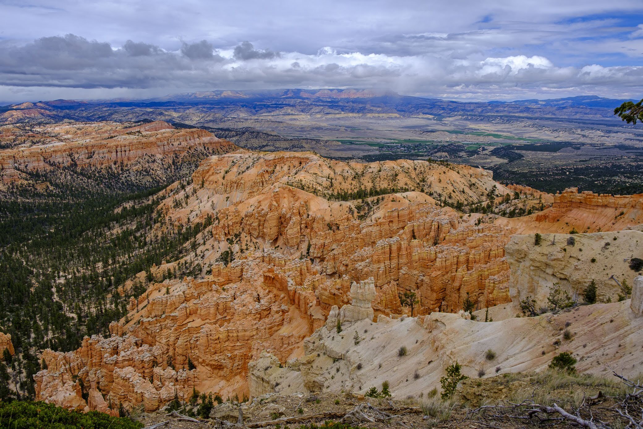 DSCF1259.JPG