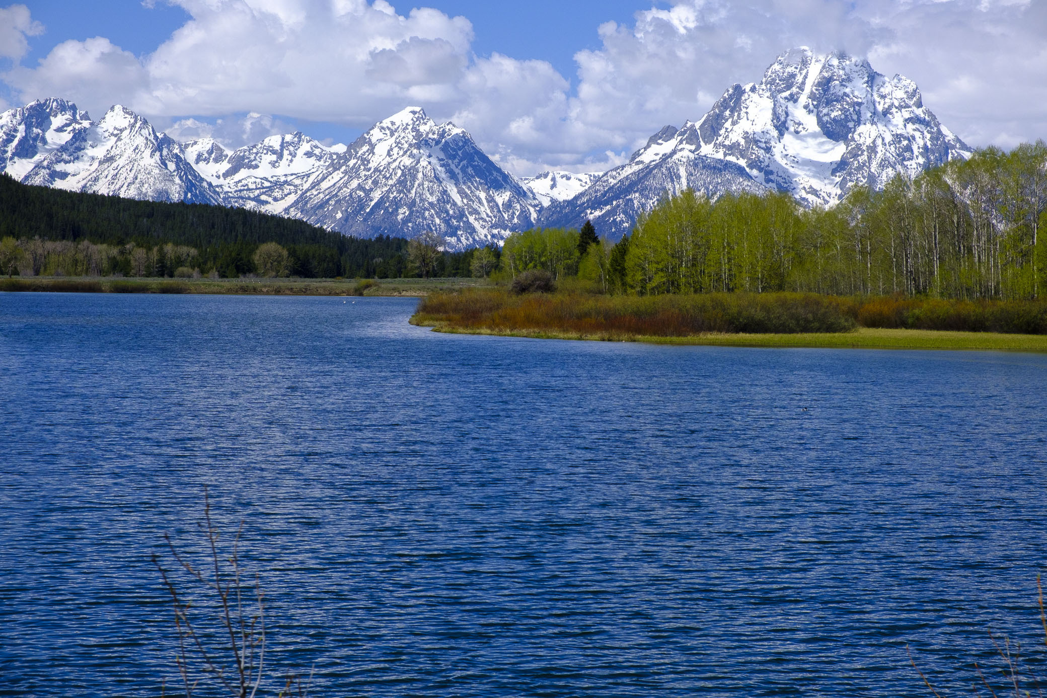 DSCF1333.JPG