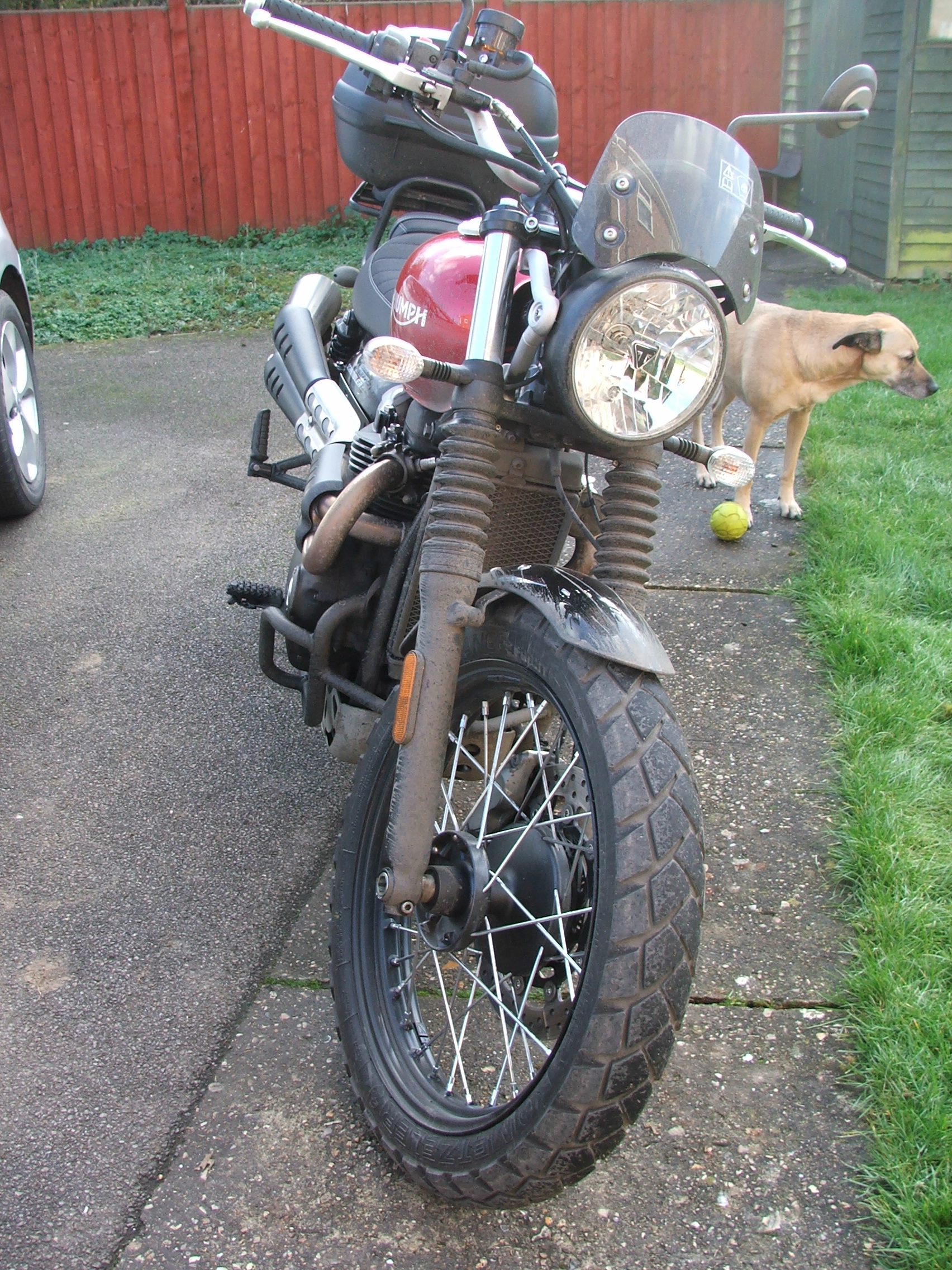 DSCF2590.JPG