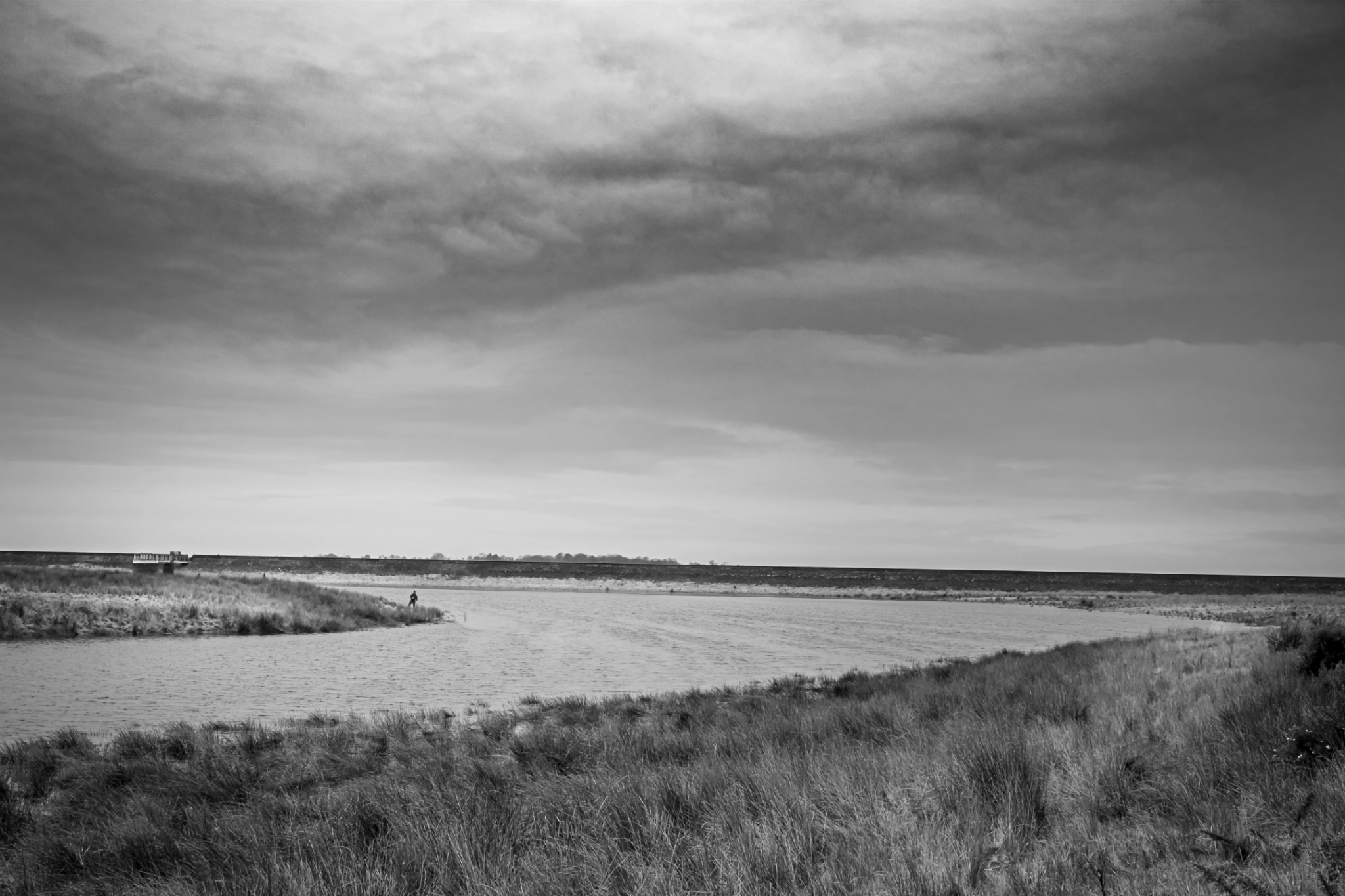 DSCF5169.jpg