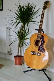 DSCF7130.jpg