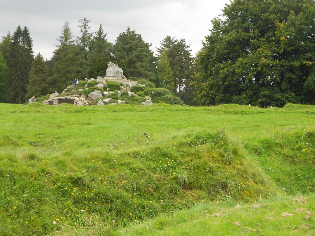 DSCN1626.jpg
