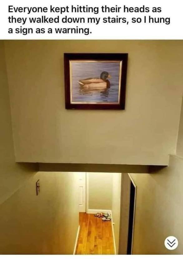 duck stairs.jpg