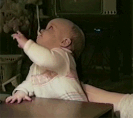 EF61DC87-E352-442E-A279-97A80DF0D744.gif