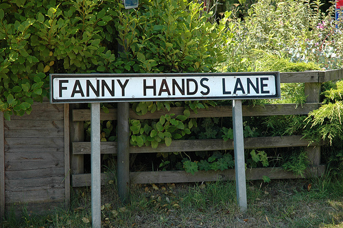 fanny hands lane.jpg