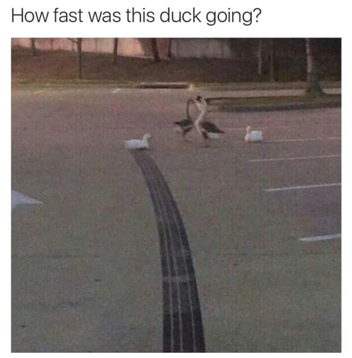 FB_IMG_1473286443649.jpg