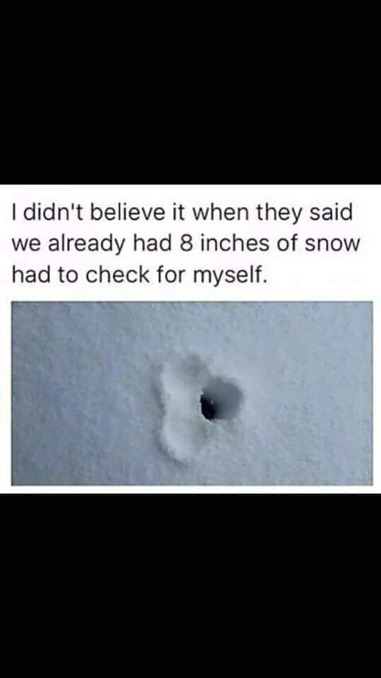 FB_IMG_1520203740050.jpg
