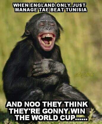 FB_IMG_1529437330886.jpg