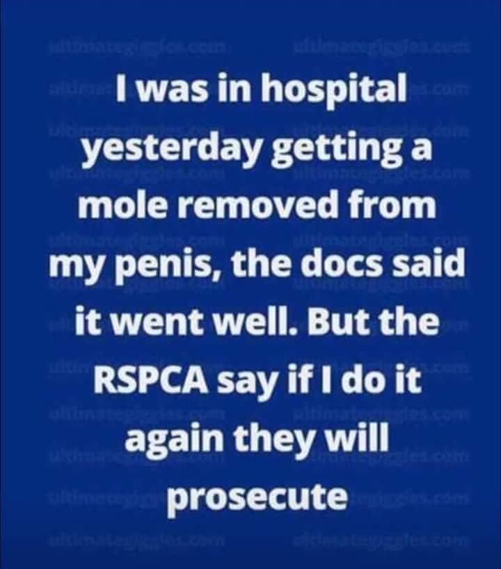 FB_IMG_1531206128892.jpg