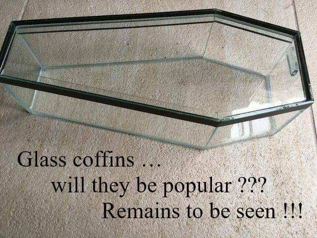 FB_IMG_1539293517952.jpg