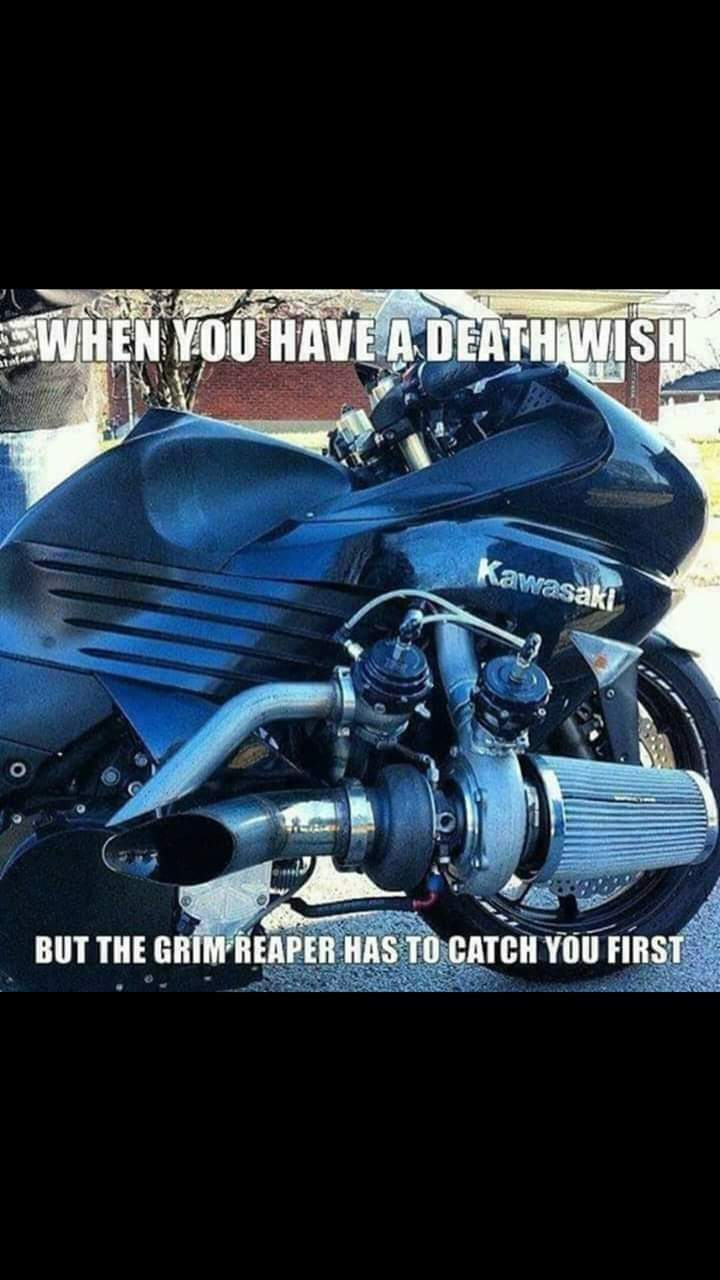FB_IMG_1550914384194.jpg