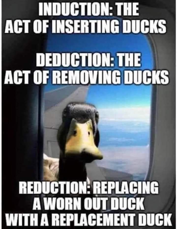 FB_IMG_1643040667960.jpg