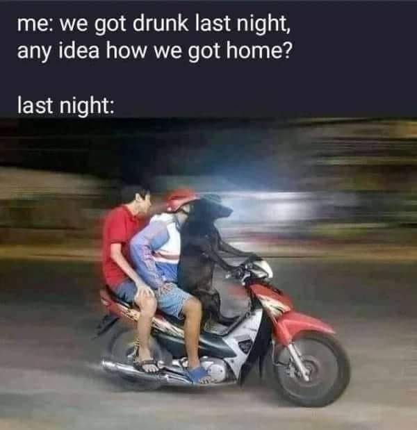 FB_IMG_1645998771554.jpg