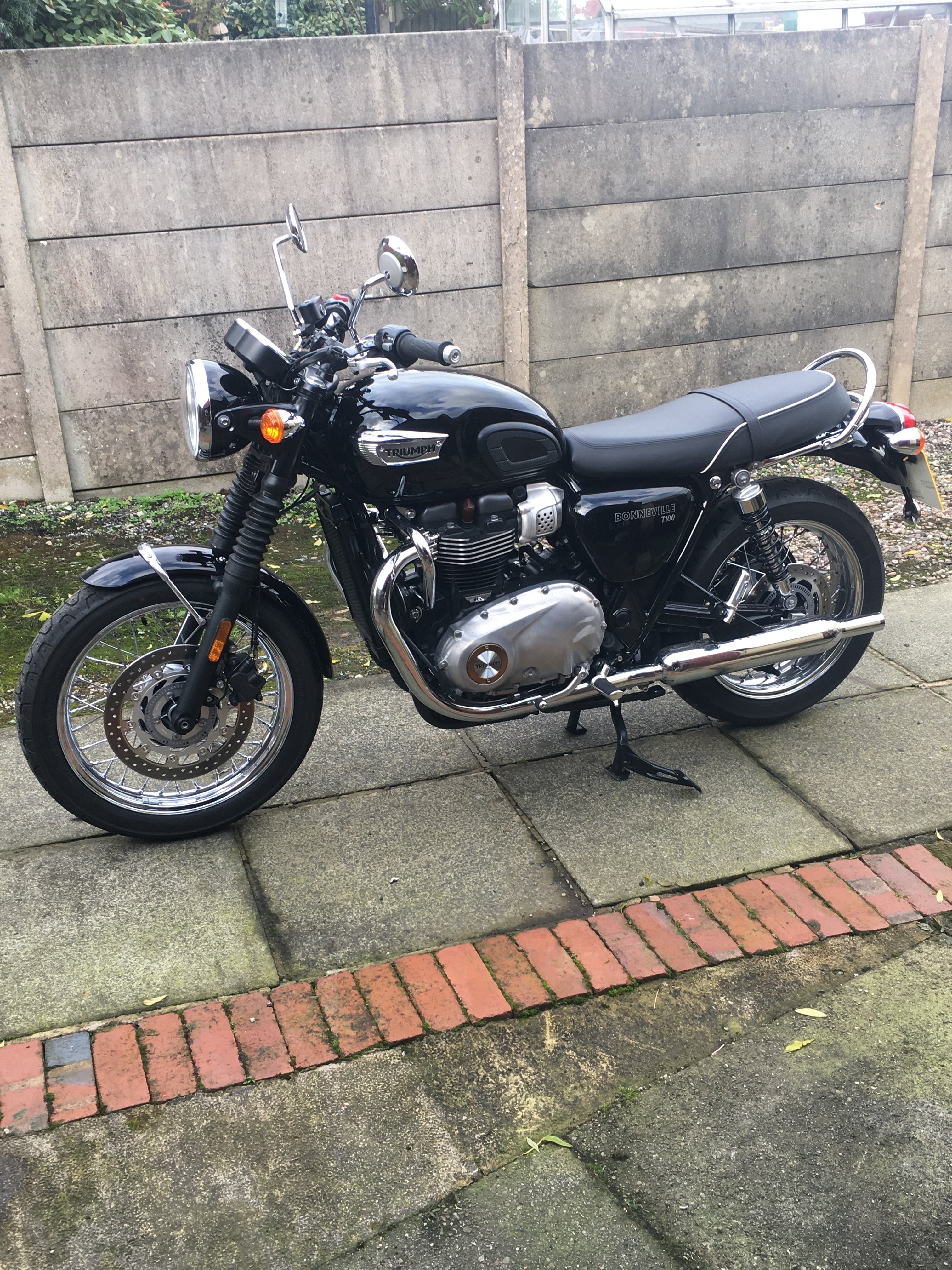 used t100 triumph bonneville
