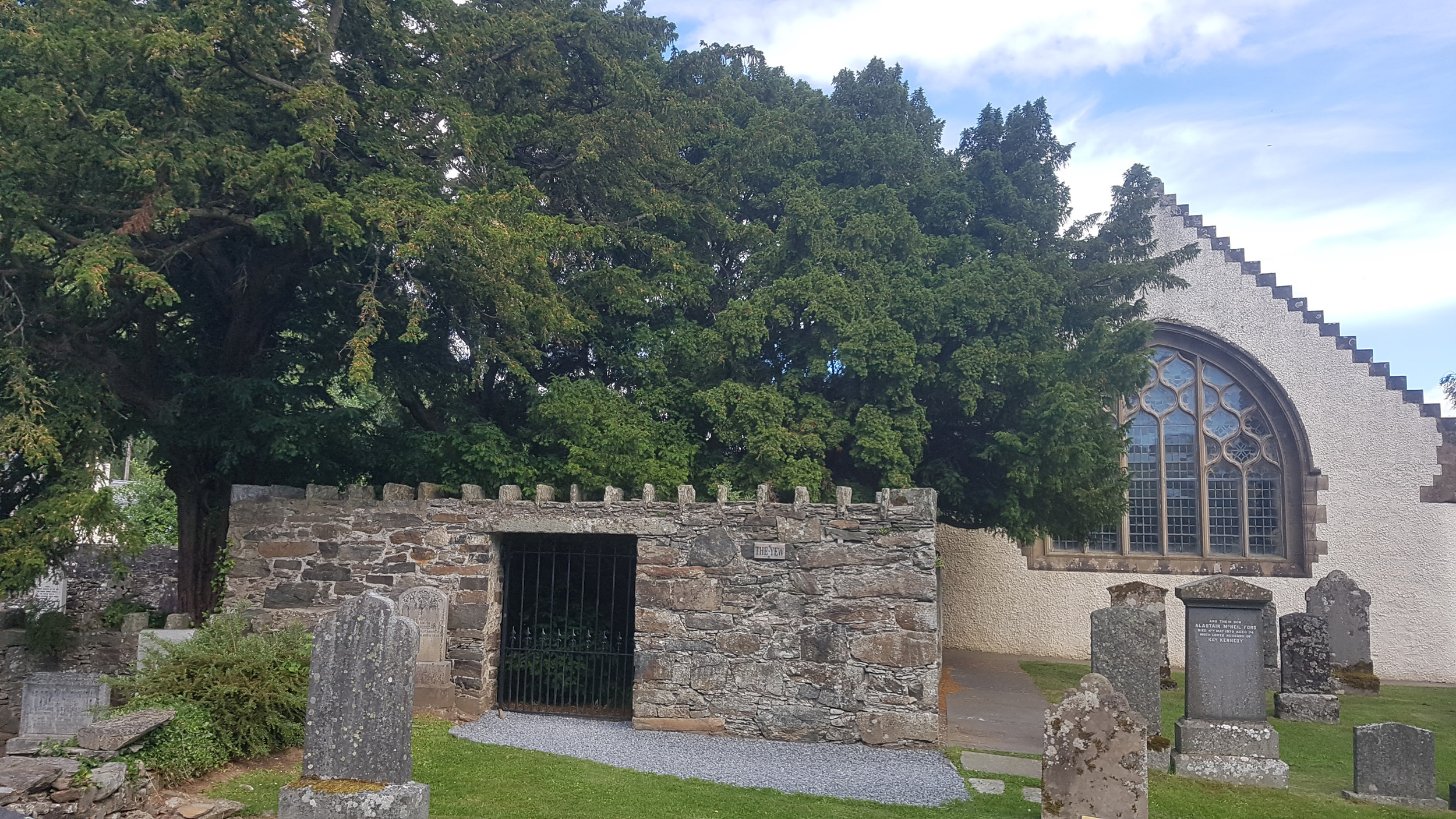 fortingal yew.jpg