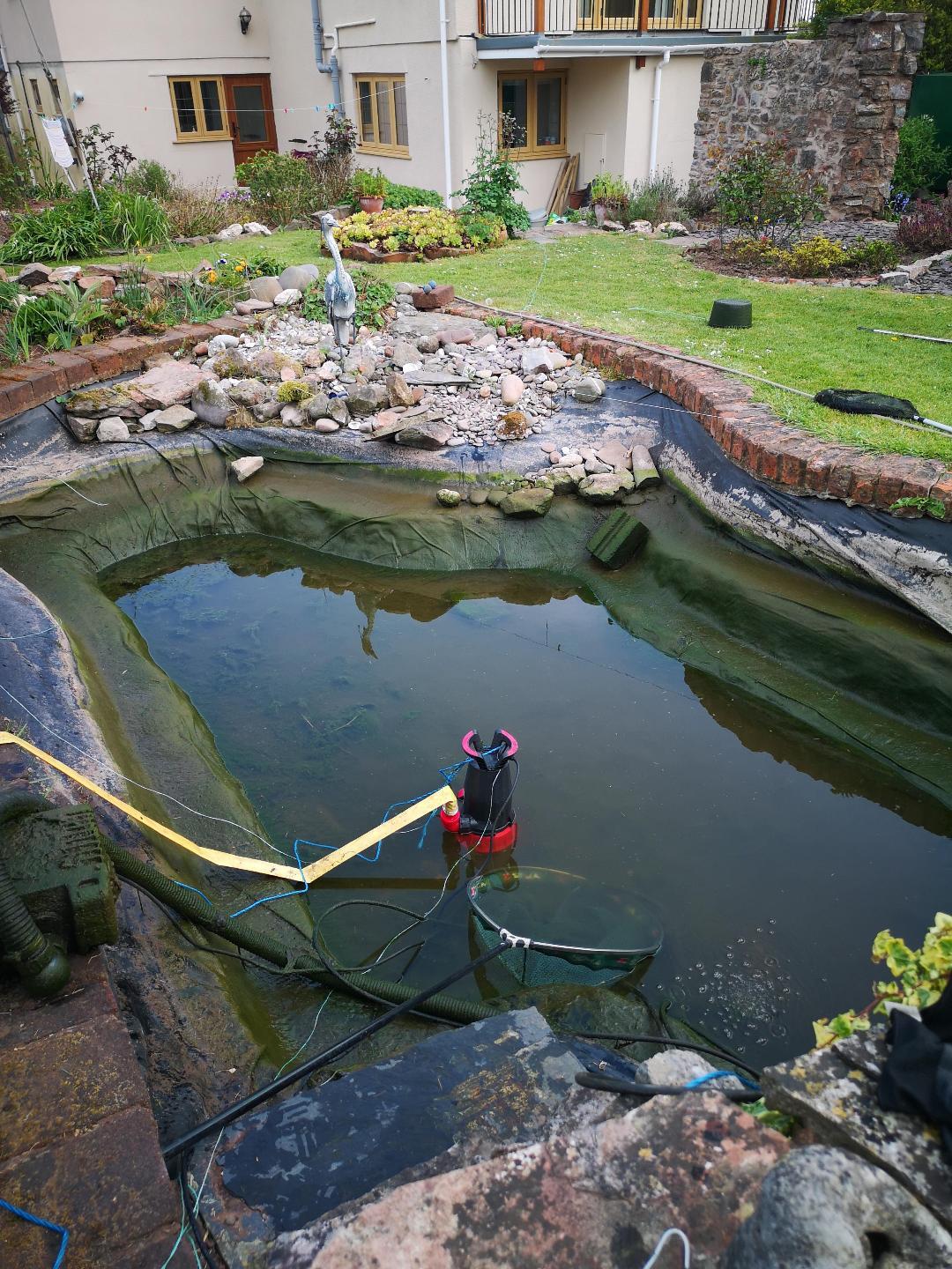 garden11.jpg