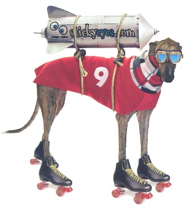 Greyhound (2).jpg